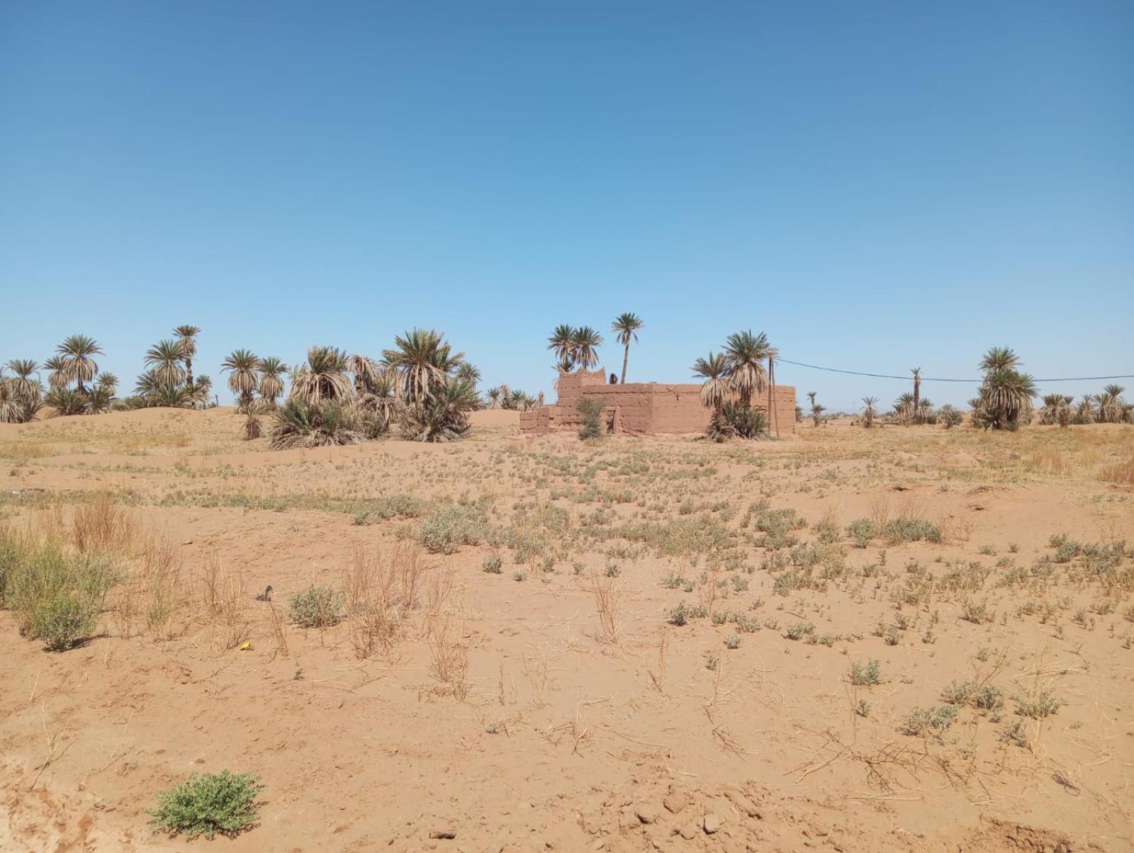 La Maison-Berbere Mhamid Exteriör bild