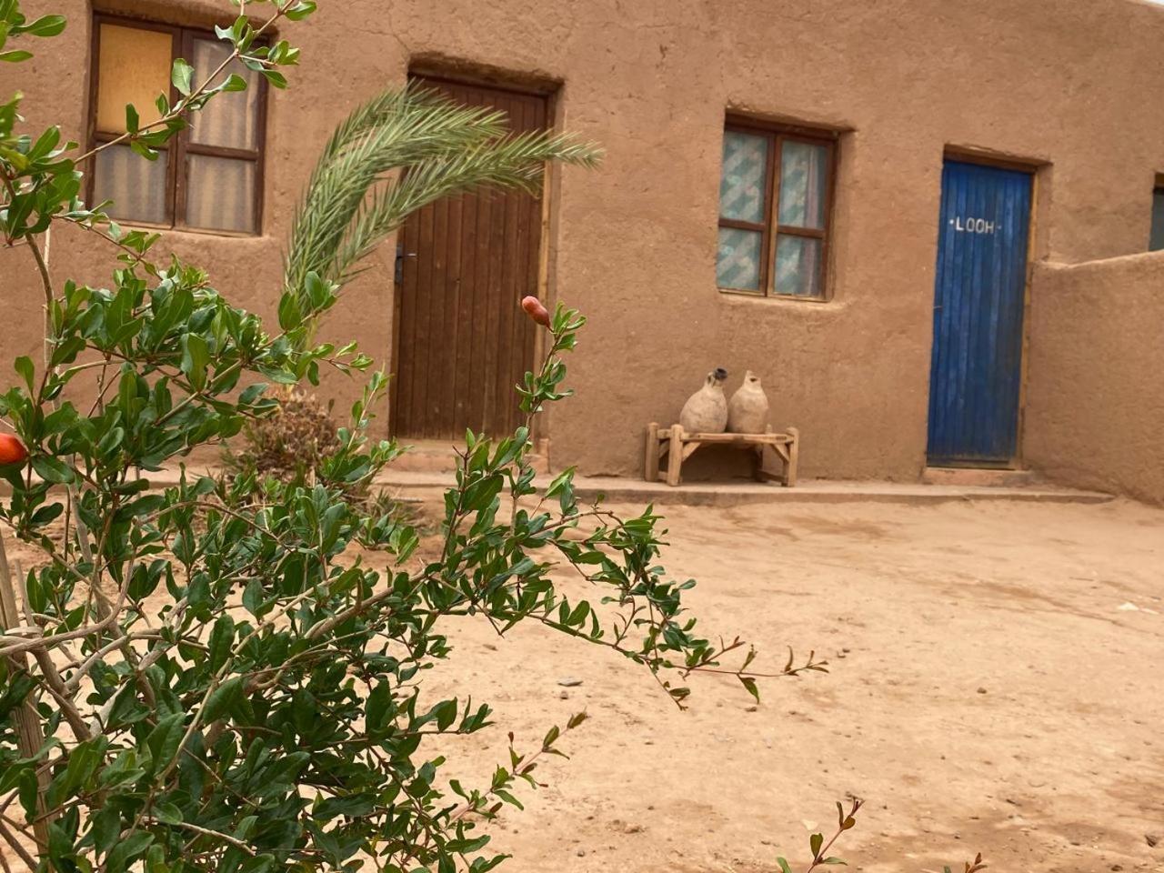La Maison-Berbere Mhamid Exteriör bild